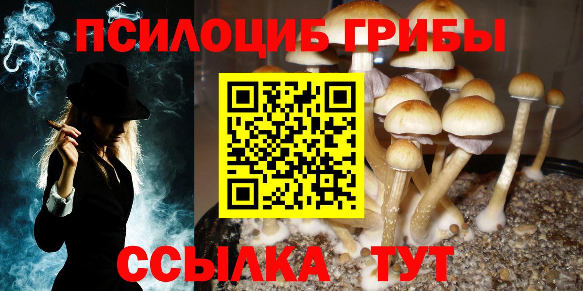 Галлюциногенные грибы ЛСД  Вход с VPN  Химки  Галлюциногенные грибы Psilocybine cubensis 