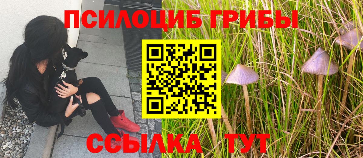Галлюциногенные грибы Magic Shrooms Химки